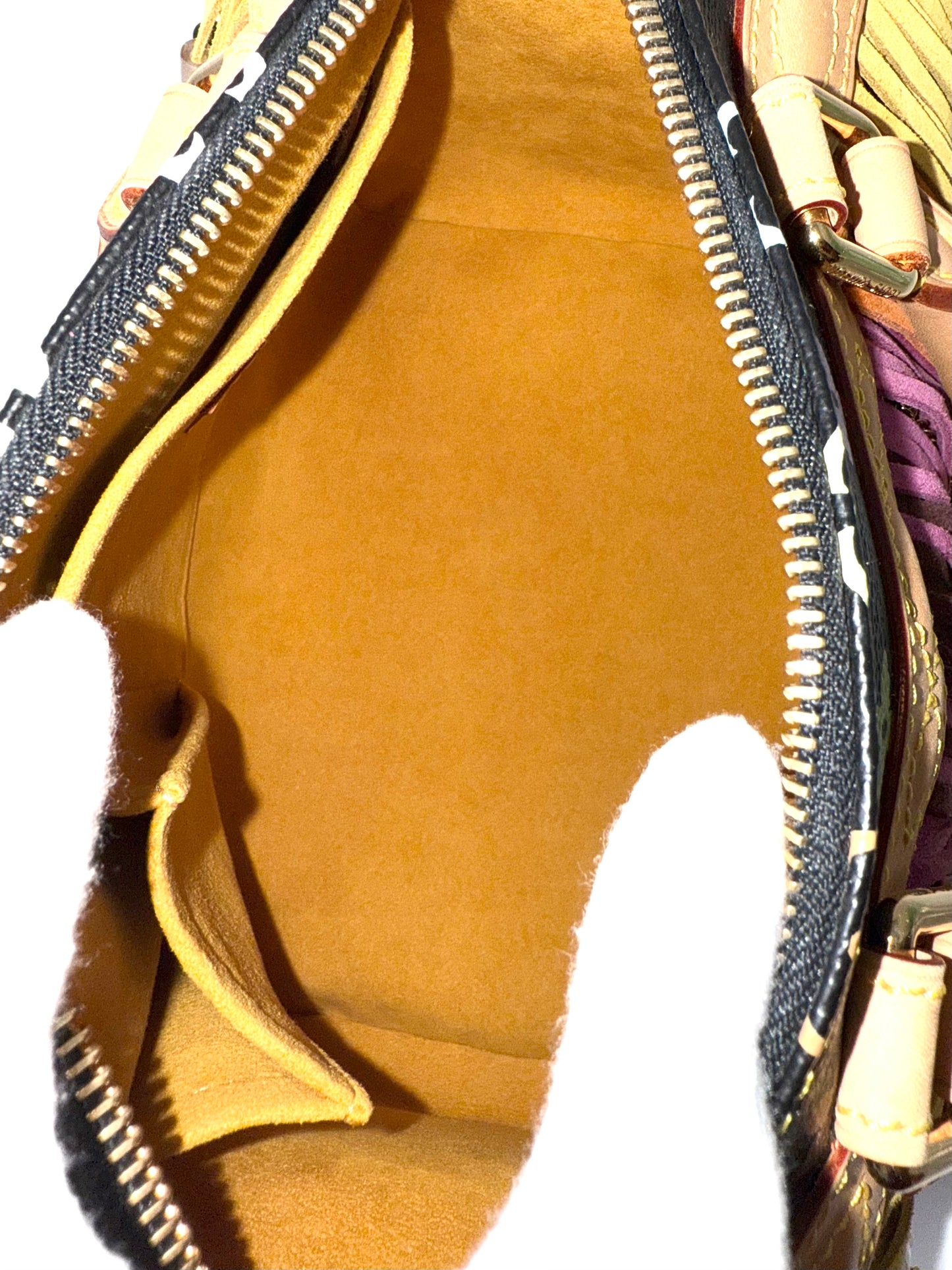 Louis Vuitton Takashi Murakami Speedy 25 Fringe Multicolor Black