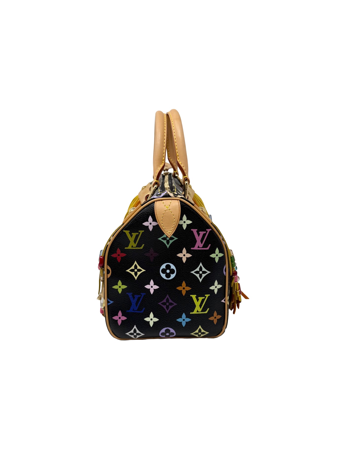 Louis Vuitton Takashi Murakami Speedy 25 Fringe Multicolor Black