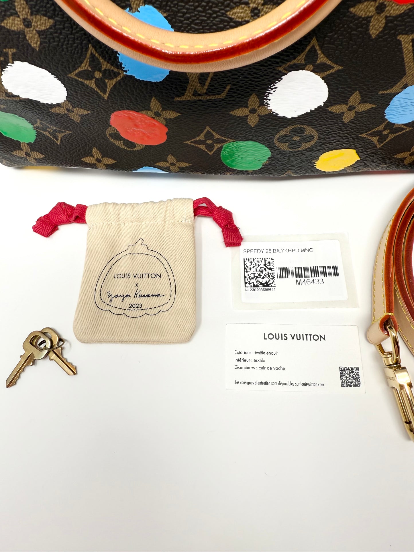 Louis Vuitton x Yayoi Kusama Speedy Bandouliere 25 Multicolor Painted Dots