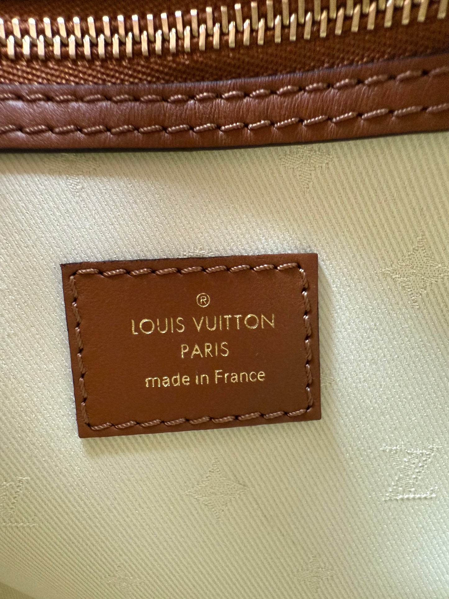 Louis Vuitton Speedy 25 Teddy Fleece Shearling Monogram Giant Cream Brown