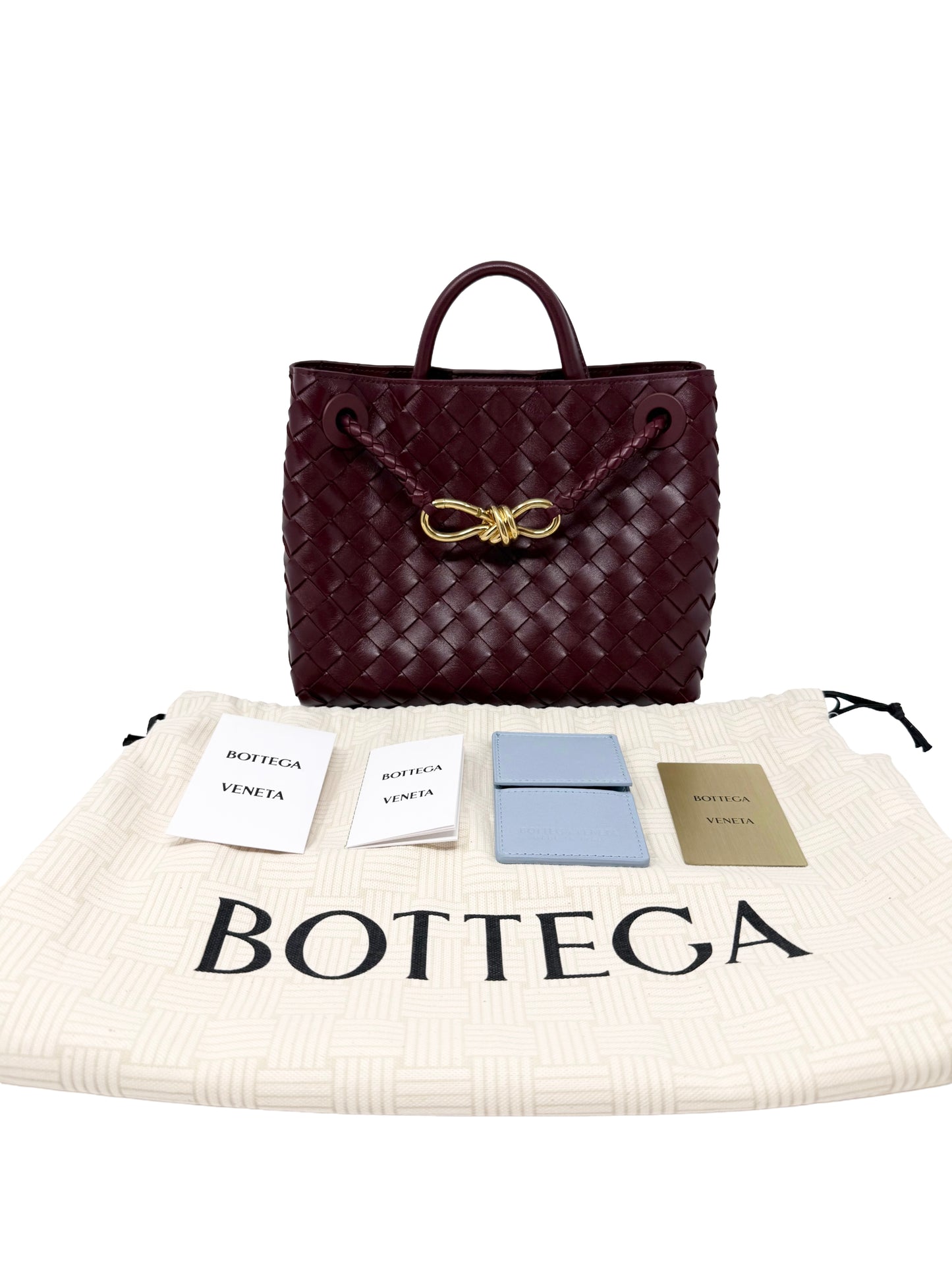Bottega Veneta Small Andiamo Barolo Burgundy
