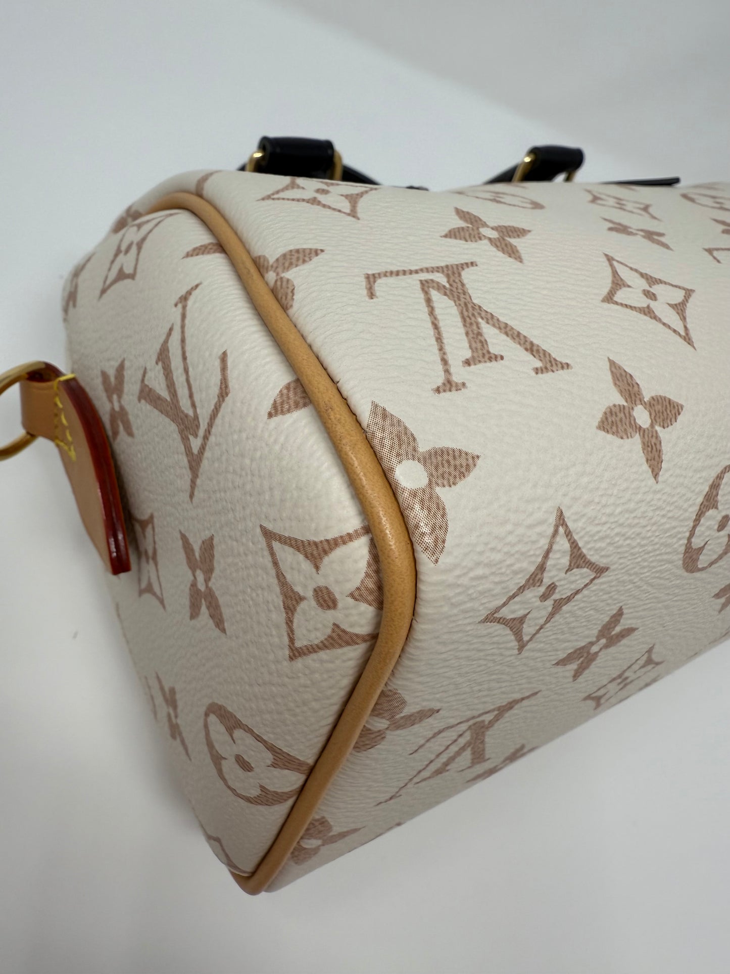 Louis Vuitton Monogram Speedy 20 Bandouliere Dune Cruise