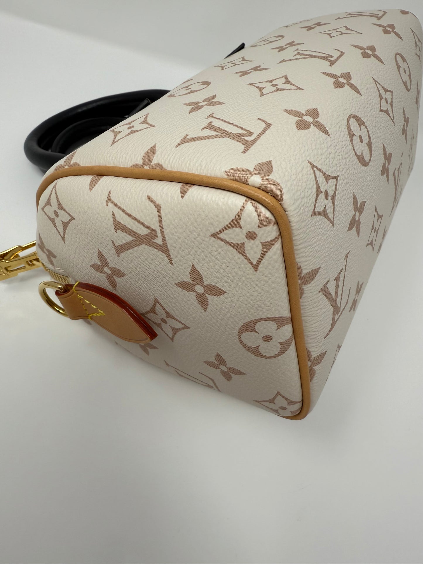 Louis Vuitton Monogram Speedy 20 Bandouliere Dune Cruise